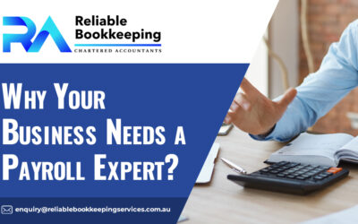 Why Your Business Needs a Payroll Expert?