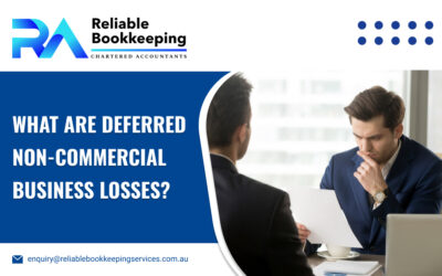 What are Deferred Non-Commercial Business Losses?