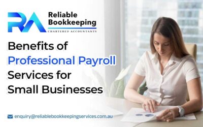 Benefits of Professional Payroll Services for Small Businesses